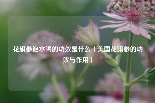花旗参泡水喝的功效是什么（美国花旗参的功效与作用）