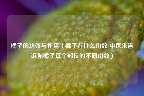 橘子的功效与作用（橘子有什么功效 中医来告诉你橘子每个部位的不同功效）
