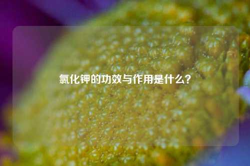 氯化钾的功效与作用是什么？