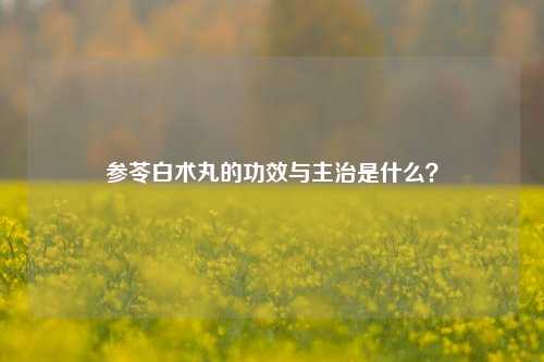 参苓白术丸的功效与主治是什么?