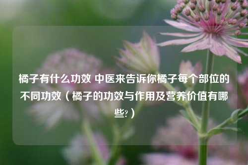橘子有什么功效 中医来告诉你橘子每个部位的不同功效（橘子的功效与作用及营养价值有哪些?）