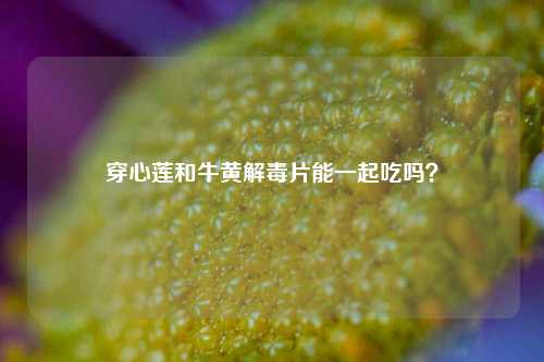 穿心莲和牛黄解毒片能一起吃吗？