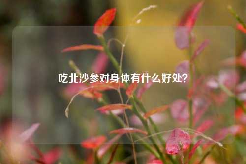 吃北沙参对身体有什么好处?