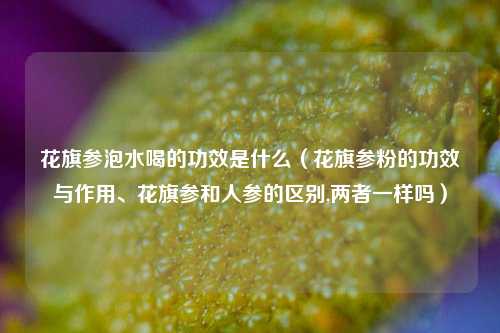 花旗参泡水喝的功效是什么（花旗参粉的功效与作用、花旗参和人参的区别,两者一样吗）