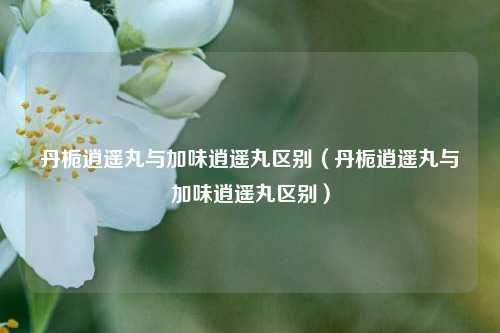 丹栀逍遥丸与加味逍遥丸区别（丹栀逍遥丸与加味逍遥丸区别）