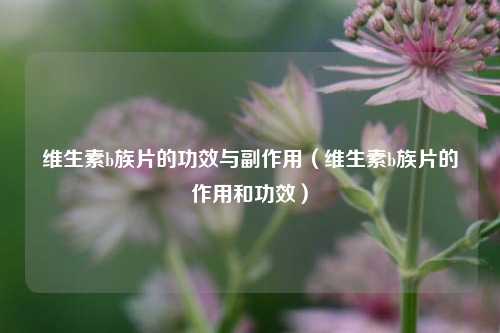 维生素b族片的功效与副作用（维生素b族片的作用和功效）