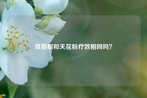 瓜蒌根和天花粉疗效相同吗?