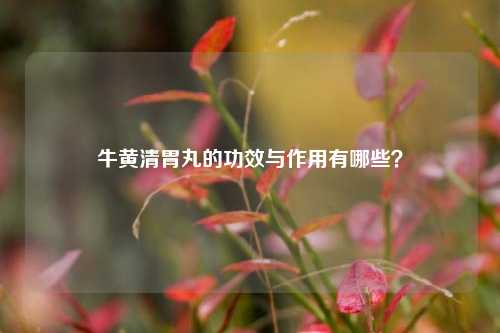 牛黄清胃丸的功效与作用有哪些？