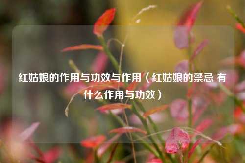 红姑娘的作用与功效与作用（红姑娘的禁忌 有什么作用与功效）