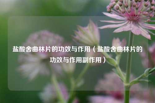 盐酸舍曲林片的功效与作用（盐酸舍曲林片的功效与作用副作用）