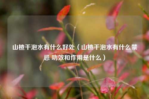 山楂干泡水有什么好处（山楂干泡水有什么禁忌 功效和作用是什么）