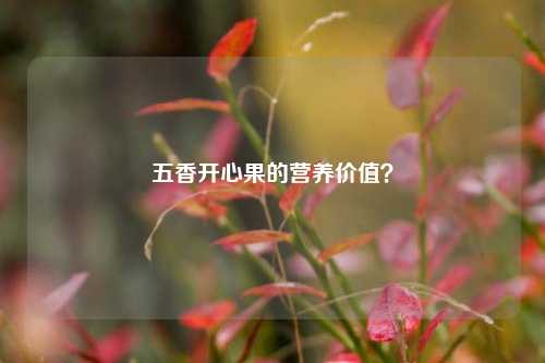 五香开心果的营养价值？