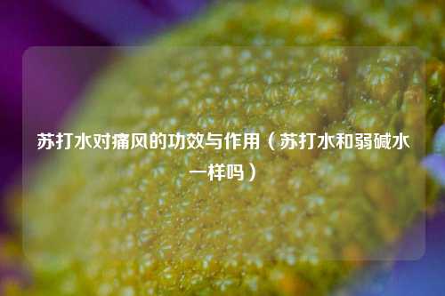 苏打水对痛风的功效与作用（苏打水和弱碱水一样吗）
