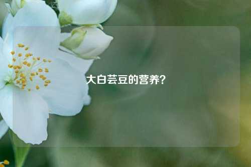 大白芸豆的营养?