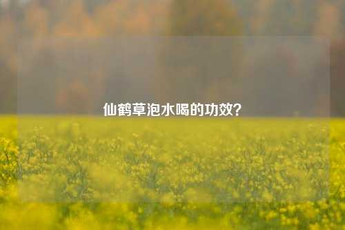 仙鹤草泡水喝的功效？