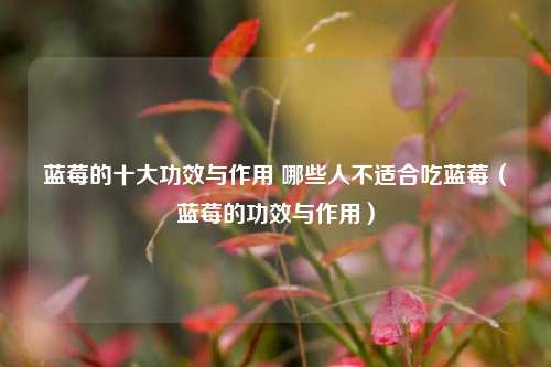 蓝莓的十大功效与作用 哪些人不适合吃蓝莓（蓝莓的功效与作用）