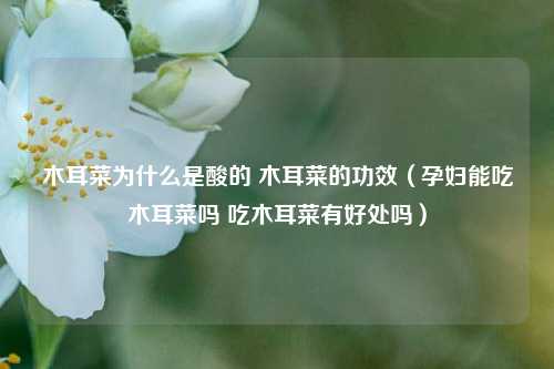 木耳菜为什么是酸的 木耳菜的功效（孕妇能吃木耳菜吗 吃木耳菜有好处吗）
