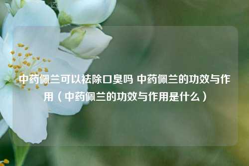中药佩兰可以祛除口臭吗 中药佩兰的功效与作用（中药佩兰的功效与作用是什么）