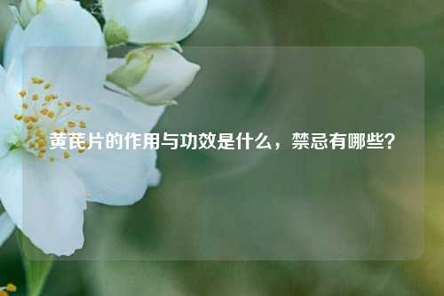 黄芪片的作用与功效是什么，禁忌有哪些？