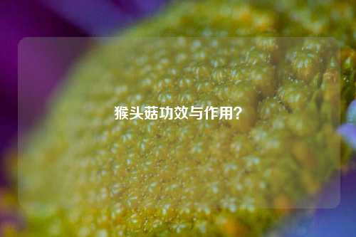 猴头菇功效与作用？