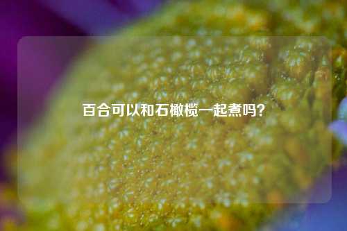 百合可以和石橄榄一起煮吗？