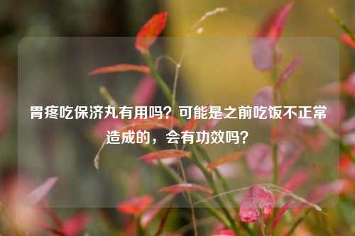 胃疼吃保济丸有用吗？可能是之前吃饭不正常造成的，会有功效吗？