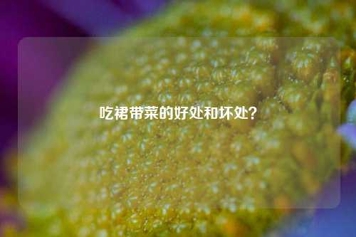 吃裙带菜的好处和坏处？