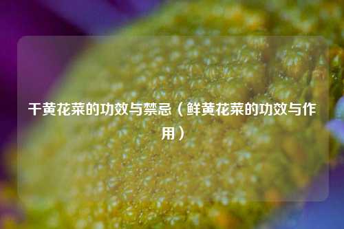 干黄花菜的功效与禁忌（鲜黄花菜的功效与作用）