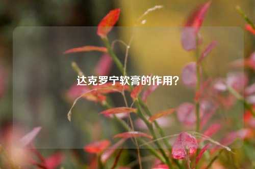 达克罗宁软膏的作用？