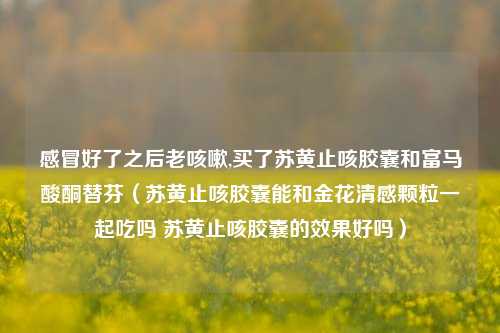 感冒好了之后老咳嗽,买了苏黄止咳胶囊和富马酸酮替芬（苏黄止咳胶囊能和金花清感颗粒一起吃吗 苏黄止咳胶囊的效果好吗）