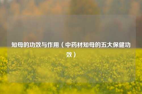 知母的功效与作用（中药材知母的五大保健功效）