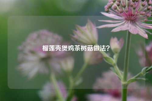 榴莲壳煲鸡茶树菇做法？