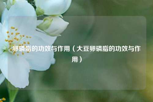 卵磷脂的功效与作用（大豆卵磷脂的功效与作用）