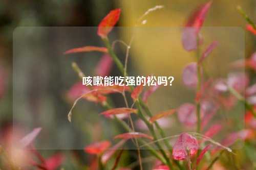 咳嗽能吃强的松吗？