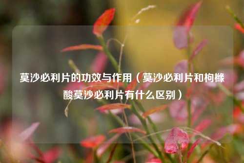 莫沙必利片的功效与作用（莫沙必利片和枸橼酸莫沙必利片有什么区别）