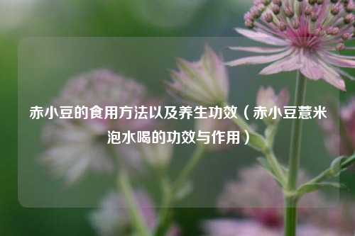 赤小豆的食用方法以及养生功效（赤小豆薏米泡水喝的功效与作用）