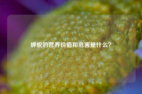蝉蜕的营养价值和危害是什么？